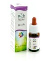 BEECH GUNA GOCCE 10 ML