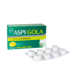 ASPI GOLA 8,75 MG PASTIGLIE GUSTO LIMONE E MIELE 8,75 MG PASTIGLIA GUSTO MIELE LIMONE 24 PASTIGLIE IN BLISTER PVC/PVDC/ALLUMINIO