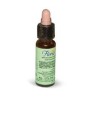 FLORIT 11 ELM/OLMO INGL GOCCE 10 ML