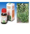 ACHILLEA 51 TINTURA MADRE 50 ML