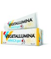 VEGETALLUMINA ARNICA GEL 100 ML