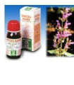 SALVIA 25 50ML TM