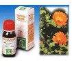 CALENDULA OFF 5 50ML TM