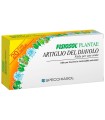 FISIOSOL PLANTAE ARTIGLIO DIAVOLO 20 FIALE 2 ML