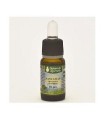 NASYAMAP OLIO GOCCE 10 ML