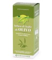 OLIVO INFUSO FOGLIE 500 ML