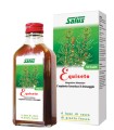 EQUISETO SUCCO 200 ML BIO