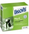 ERGOVIS MG+K 20 BUSTE 10 G