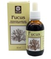 FUCUS ESTRATTO ANALCOLICO 50 ML ARTICOLO 796