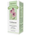 SINERGICUM ECHINACEA 50 COMPRESSE