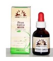 FITOBLASTO FICUS CARICA 50 ML