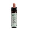 AINSWORTHS CRAB APPLE 10ML