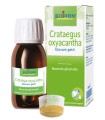 CRATAEGUS OXYACANTHA MACERATO GLICERICO 60 ML INT