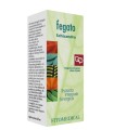 SCHISANDRA FEGATO ESTRATTO INTEGRALE SINERGICO 60 ML