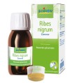 RIBES NIGRUM MACERATO GLICERICO 60 ML INT