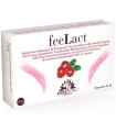 FEELACT 8 BUSTINE 24 G