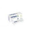 COLIFAGINA D 12 BUSTINE DA 15 ML