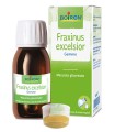 FRAXINUS EXCELSIOR MACERATO GLICERICO 60 ML INT