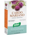 CARDO MARIANO 40 CAPSULE