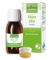 ABIES PECTINATA MACERATO GLICERICO 60 ML INT