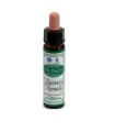 AINSWORTHS RECOV REMEDY 10ML