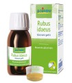 RUBUS IDAEUS GIOVANI GETTI ESTRATTO IDROALCOLICO 60 ML