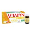 VITADYN PAPPA REALE 1000 10 FLACONCINI 10 ML