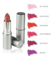 DEFENCE COLOR BIONIKE ROSSETTO SEMITRASPARENTE LIPSHINE 203 PAPAYE