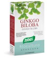 GINKGO BILOBA 40 CAPSULE