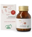 ECHINACEA 50 COMPRESSE 1000MG TERRANATA