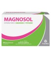 MAGNOSOL 20 BUSTINE EFFERVESCENTI