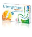 ENTEROGERMINA 4 MILIARDI / 5 ML SOSPENSIONE ORALE 4 MILIARDI/5 ML SOSPENSIONE ORALE 10 FLACONCINI