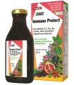 SALUS IMMUNO PROTECT 250 ML