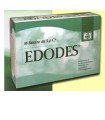 EDODES 16 BUSTINE