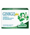 GINKGO PLUS 30 CAPSULE