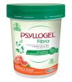 PSYLLOGEL FIBRA ARANCE ROSSE VASO 170 G