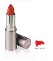 DEFENCE COLOR ROSSETTO CLASSICO LIPVELVET 113