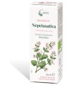 CAIRA NEPETASATIVA MACERATO IDROALCOLICO GOCCE 50 ML