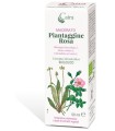 CAIRA PIANTAGGINE ROSA MACERATO IDROALCOLICO GOCCE 50 ML