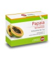 PAPAIA FERMENTATA 16 BUSTINE DA 3 G