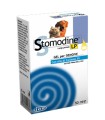 STOMODINE LP GEL GENGIVE 50 ML