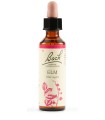 ELM BACH ORIG 20 ML