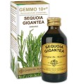 GEMMO 10+ SEQUOIA 100 ML LIQUIDO ANALCOLICO