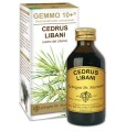 GEMMO 10+ CEDRO DEL LIBANO 100 ML LIQUIDO ANALCOLICO