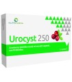 UROCYST 250 15 CAPSULE