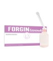 FORGIN LAVANDA 5 FLACONI DA 140 ML