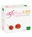 CISTIFLUX A PLUS 36 + D BUSTINA