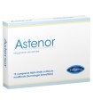 ASTENOR 15 COMPRESSE