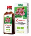 ECHINACEA SUCCO 200 ML BIO