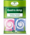 GASTRO AMP 30 CAPSULE